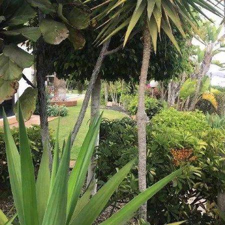 Casa Lilo - Villas With Pool 度假居